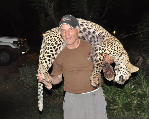 leopard 1 leopard 1